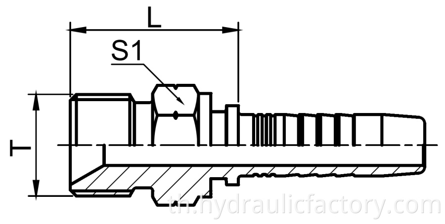 Bsp Male 60 Degree Cone Fittings Drawing